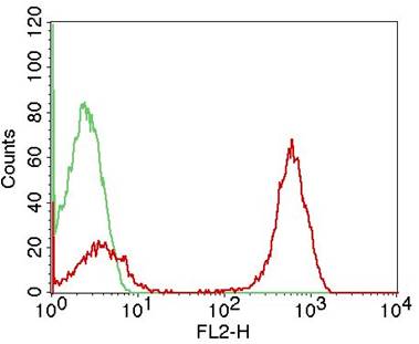 Monoclonal Antibody to CD3 (Clone: OKT3) PE Conjugated